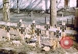 Image 11e Division blindée Allemagne, 1945, de la seconde 56 séquences d'archives historiques vidéo 65675056462