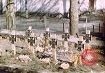 Image 11e Division blindée Allemagne, 1945, de la seconde 57 séquences d'archives historiques vidéo 65675056462