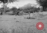 Image of major events of year 1961 United States USA, 1961, second 46 stock footage video 65675056465