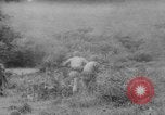 Image of major events of year 1961 United States USA, 1961, second 47 stock footage video 65675056465