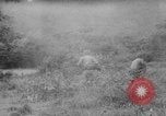 Image of major events of year 1961 United States USA, 1961, second 48 stock footage video 65675056465
