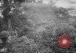 Image of major events of year 1961 United States USA, 1961, second 49 stock footage video 65675056465
