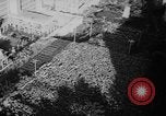 Standbild algerischen Krisen United States USA, 1962, aus Sekunde 40 historischem Filmmaterial Videoclip 65675056471