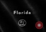 Image horse derby Florida United States USA, 1962, de la seconde 1 séquences d'archives historiques vidéo 65675056475