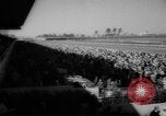 Image horse derby Florida United States USA, 1962, de la seconde 7 séquences d'archives historiques vidéo 65675056475