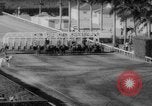 Image horse derby Florida United States USA, 1962, de la seconde 11 séquences d'archives historiques vidéo 65675056475