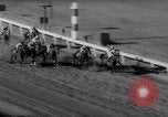 Image horse derby Florida United States USA, 1962, de la seconde 26 séquences d'archives historiques vidéo 65675056475