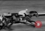 Image horse derby Florida United States USA, 1962, de la seconde 36 séquences d'archives historiques vidéo 65675056475