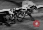 Image horse derby Florida United States USA, 1962, de la seconde 37 séquences d'archives historiques vidéo 65675056475