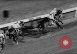 Image horse derby Florida United States USA, 1962, de la seconde 40 séquences d'archives historiques vidéo 65675056475