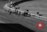 Image horse derby Florida United States USA, 1962, de la seconde 53 séquences d'archives historiques vidéo 65675056475