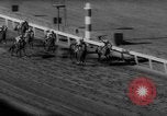 Image horse derby Florida United States USA, 1962, de la seconde 58 séquences d'archives historiques vidéo 65675056475
