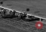 Image horse derby Florida United States USA, 1962, de la seconde 61 séquences d'archives historiques vidéo 65675056475