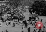 Image Première dame Jacqueline Kennedy Udaipur Rajasthan en Inde, 1962, de la seconde 32 séquences d'archives historiques vidéo 65675056478
