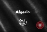 Image of crises in Algeria United States USA, 1962, second 5 stock footage video 65675056483