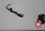 Image of animals cross Alps Mountains United States USA, 1962, second 4 stock footage video 65675056485