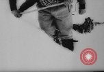 Image of animals cross Alps Mountains United States USA, 1962, second 5 stock footage video 65675056485