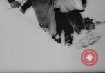 Image of animals cross Alps Mountains United States USA, 1962, second 6 stock footage video 65675056485