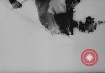 Image of animals cross Alps Mountains United States USA, 1962, second 7 stock footage video 65675056485