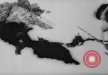 Image of animals cross Alps Mountains United States USA, 1962, second 9 stock footage video 65675056485