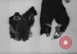 Image of animals cross Alps Mountains United States USA, 1962, second 17 stock footage video 65675056485