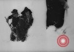 Image of animals cross Alps Mountains United States USA, 1962, second 19 stock footage video 65675056485