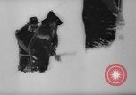 Image of animals cross Alps Mountains United States USA, 1962, second 20 stock footage video 65675056485