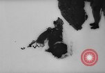 Image of animals cross Alps Mountains United States USA, 1962, second 21 stock footage video 65675056485