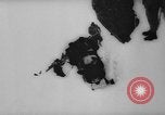 Image of animals cross Alps Mountains United States USA, 1962, second 22 stock footage video 65675056485