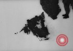 Image of animals cross Alps Mountains United States USA, 1962, second 23 stock footage video 65675056485