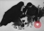 Image of animals cross Alps Mountains United States USA, 1962, second 26 stock footage video 65675056485