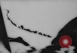 Image of animals cross Alps Mountains United States USA, 1962, second 30 stock footage video 65675056485