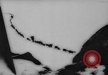 Image of animals cross Alps Mountains United States USA, 1962, second 31 stock footage video 65675056485
