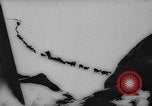 Image of animals cross Alps Mountains United States USA, 1962, second 32 stock footage video 65675056485