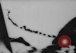 Image of animals cross Alps Mountains United States USA, 1962, second 33 stock footage video 65675056485