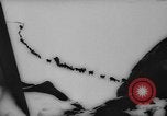 Image of animals cross Alps Mountains United States USA, 1962, second 34 stock footage video 65675056485