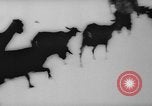 Image of animals cross Alps Mountains United States USA, 1962, second 40 stock footage video 65675056485