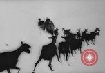 Image of animals cross Alps Mountains United States USA, 1962, second 42 stock footage video 65675056485