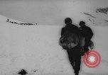 Image of animals cross Alps Mountains United States USA, 1962, second 47 stock footage video 65675056485