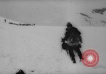 Image of animals cross Alps Mountains United States USA, 1962, second 48 stock footage video 65675056485