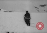 Image of animals cross Alps Mountains United States USA, 1962, second 49 stock footage video 65675056485
