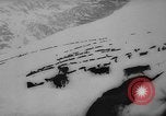 Image of animals cross Alps Mountains United States USA, 1962, second 50 stock footage video 65675056485