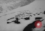 Image of animals cross Alps Mountains United States USA, 1962, second 51 stock footage video 65675056485