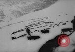 Image of animals cross Alps Mountains United States USA, 1962, second 52 stock footage video 65675056485