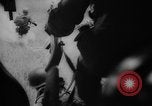 Standbild Krieg in Vietnam United States USA, 1964, aus Sekunde 39 historischem Filmmaterial Videoclip 65675056494