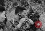 Image of Vietnam War bombing footage Vietnam, 1965, second 17 stock footage video 65675056507