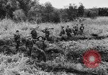 Image of Vietnam War bombing footage Vietnam, 1965, second 19 stock footage video 65675056507