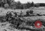 Image of Vietnam War bombing footage Vietnam, 1965, second 20 stock footage video 65675056507