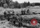 Image of Vietnam War bombing footage Vietnam, 1965, second 22 stock footage video 65675056507
