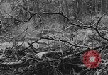 Image of Vietnam War bombing footage Vietnam, 1965, second 23 stock footage video 65675056507